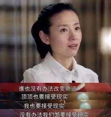 明星网红界限有哪些