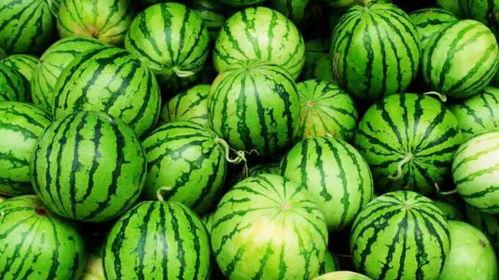 黑瓜吃料网爆瓜最新白鹿