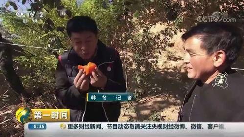 渑池吃瓜最新事件爆料视频,最新爆料视频揭露惊人内幕