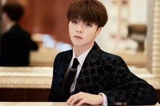 娱乐圈吃瓜爆料陈立农,揭秘背后的真相与争议